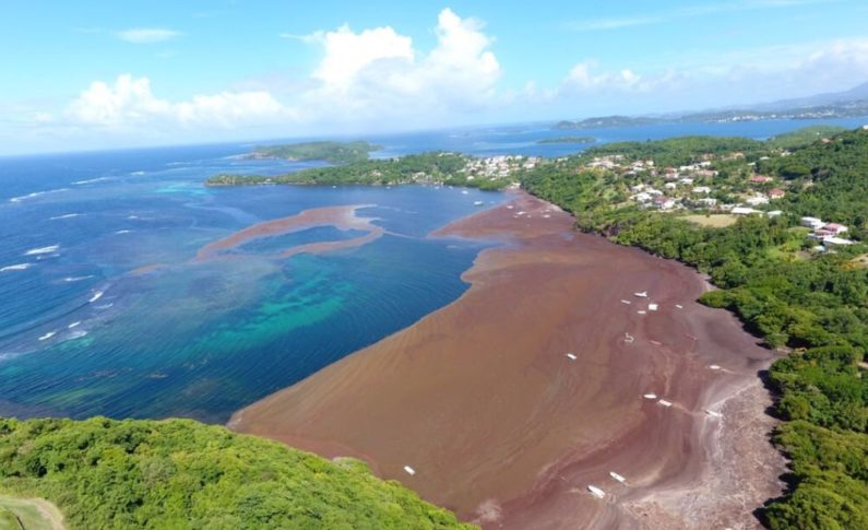 Alors Nicolas Hulot ce n'est pas de la catastrophe naturelle an kounia sa man pa lé di'w la ?
