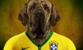 On a retrouvé le chien de Neymar