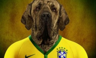 On a retrouvé le chien de Neymar
