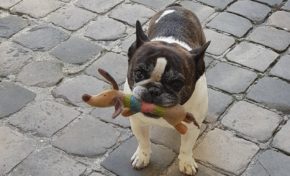 L'image du jour 28/06/18 - Belle rencontre...