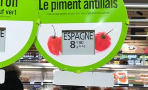 Image du jour 26/06/18 - France - Piment antillais -