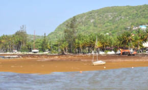 Alors Nico que pasa... tu nous l'a mis bien profond dans le Q.I mon ami ?