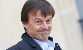 Algues Sargasses en Martinique et en Guadeloupe : la visite du ministre  Nicolas Hulot  a été...