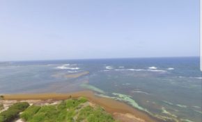 🎶🎶🎵🎵Îlot ...Hulot🎶🎶🎵 deux boules...🎶🎶🎵