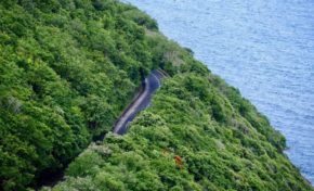 L'image du jour 31/07/18 - Martinique - Flamboyant