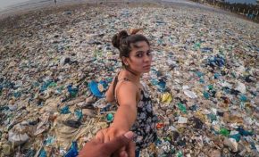 Viens avec moi... (Image du jour)