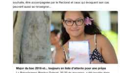 Avec 20,32 de moyenne au Bac elle rame sur Parcours Sup, le gouvernement panique. Les bacheliers des DOM sont-ils défavorisés ?