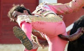 Ah la vache !!! 🐄🐄Ça c'est de la taureauscopie. 🐃🐃