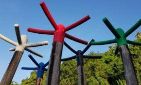 Martinique...l'impossible drapeau ?