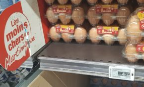 Bernard Hayot invente la🐔 poule aux🐣 oeufs d'or🐓...coco rico...mucho dinero🛒💶💶💰 !!!