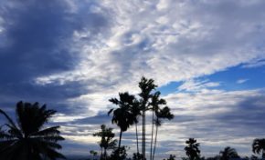 L'image du jour 14/10/18 - Martinique
