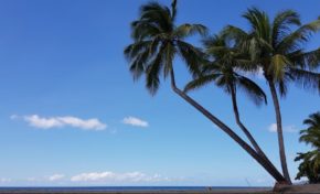 Plaidoyer pour parler créole pour de vrai