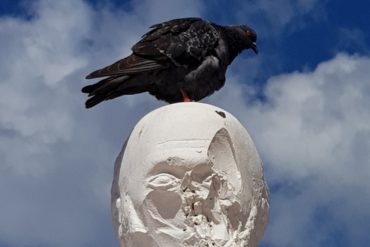 Un pigeon se libère sur la tête de Victor à Schoelcher en Martinique