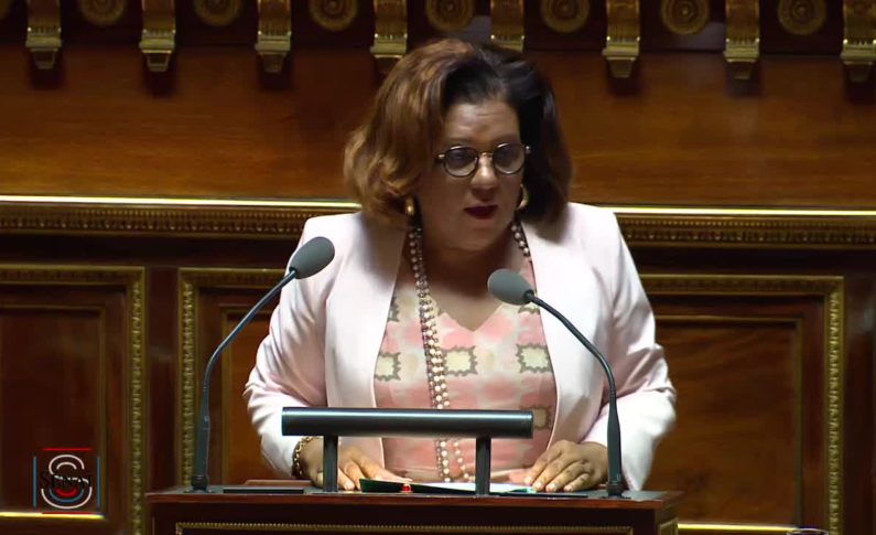 Remaniement en France: et si Catherine Conconne devenait Ministre ? Et si Macron s’y mettait ?