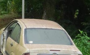 Les VHU fêtent Halloween en Martinique