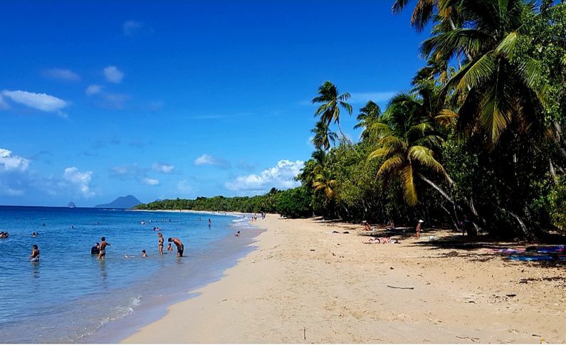 L'image du jour 02/11/18 - Martinique - Plage des salines