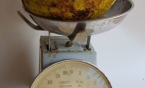 Et pendant ce temps là en Martinique...