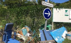 Le développement durable et la responsabilité citoyenne au Prêcheur en Martinique