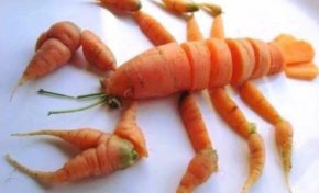 Bonne année 2019 aux gilets jaunes