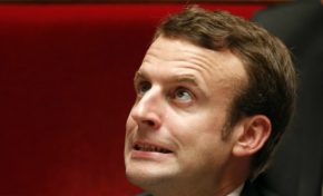 Au fait...On dit le coco ou la coco ?