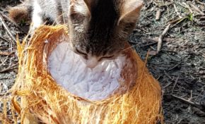 Images du jour 31/12/18 - Martinique