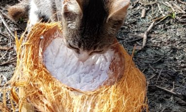 Images du jour 31/12/18 - Martinique