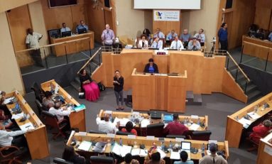 Collectivité Territoriale de Martinique : Soutien unanime au Pôle Martinique de l'Université des Antilles