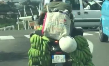 Un motard invente la Banane Air Bag (BAB) en Martinique
