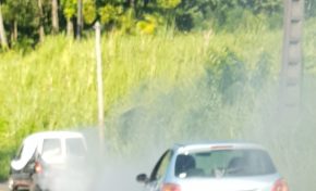 Les pollueurs sont des ordures - Martinique