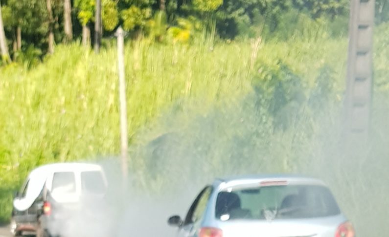 Les pollueurs sont des ordures - Martinique