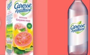 Et...à l'orée du carnaval en Martinique...Caresse Antillaise rate son #10yearschallenge