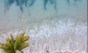 L'image du jour 19/01/19 - Martinique- Plage des salines