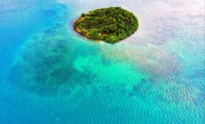 L'image du jour 30/01/19 - Martinique