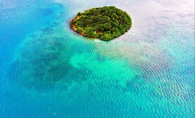 L'image du jour 30/01/19 - Martinique