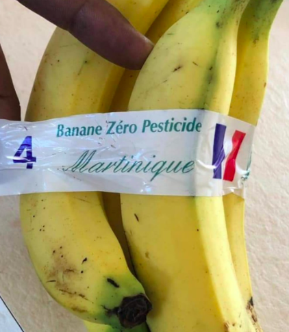 Banane et chlordécone...et pourtant nous ne sommes pas le 1er avril...