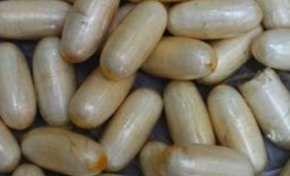 Un couple de mules aux urgences au CHU en Martinique