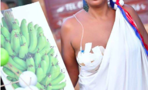 Images du jour 04/03/19 - Martinique - Chlordécone - Carnaval