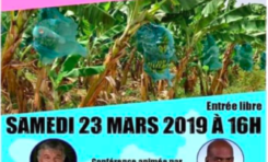 Chlordécone en Martinique:  Serge Letchimy...l'énième escroquerie intellectuelle