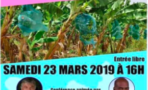 Chlordécone en Martinique:  Serge Letchimy...l'énième escroquerie intellectuelle
