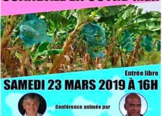 Chlordécone en Martinique:  Serge Letchimy...l'énième escroquerie intellectuelle
