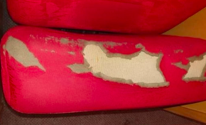 Martinique : à l'Atrium scène ...nationale...les fauteuils déchirent