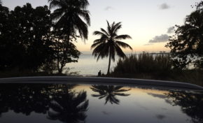 L'image du jour - 31/03/19 - Martinique