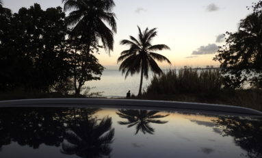 L'image du jour - 31/03/19 - Martinique