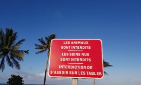 l'image du jour 21/04/19 - Plage de la Pointe Faula - Vauclin- Martinique