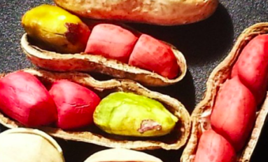 Ça se passe comme ça dans le pays oignon...