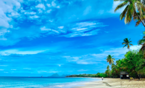 Martinique : la plage des salines est en vigilance orange