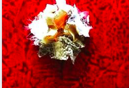 Rad Kabann : Aumis soit qui mal y pense