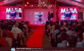 "Votez Patrick Fabre"...quand Catherine Conconne trahit Bernard Hayot