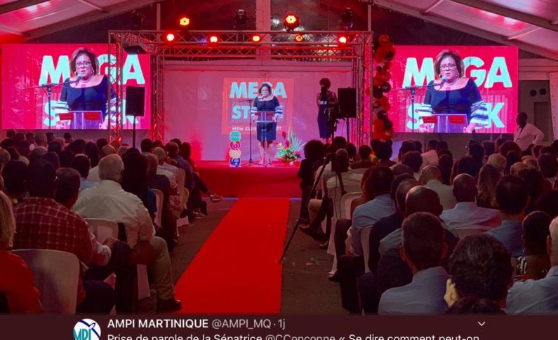 "Votez Patrick Fabre"...quand Catherine Conconne trahit Bernard Hayot