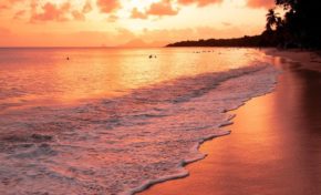 L'image du jour 28/08/19 - Plage des salines - Martinique